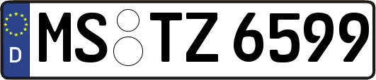 MS-TZ6599