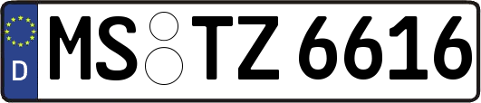 MS-TZ6616