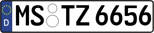 MS-TZ6656