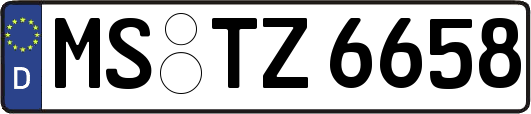 MS-TZ6658
