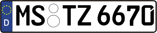 MS-TZ6670