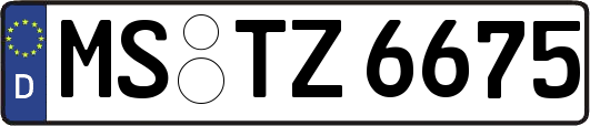 MS-TZ6675