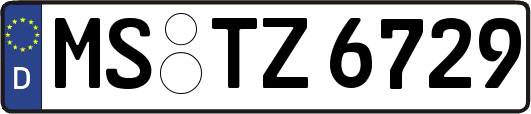 MS-TZ6729