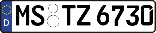 MS-TZ6730