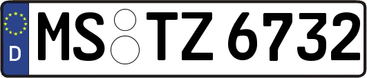 MS-TZ6732