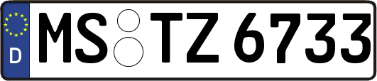 MS-TZ6733