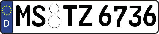 MS-TZ6736