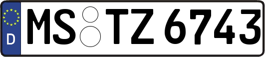 MS-TZ6743