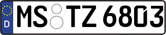 MS-TZ6803