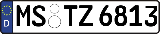MS-TZ6813
