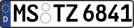 MS-TZ6841