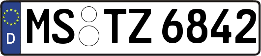 MS-TZ6842