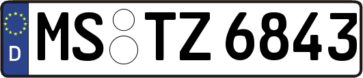 MS-TZ6843