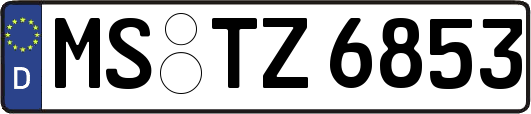 MS-TZ6853
