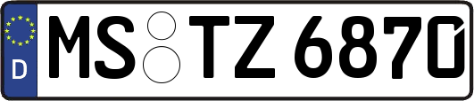 MS-TZ6870