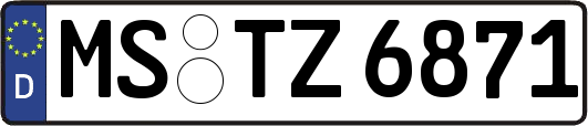 MS-TZ6871