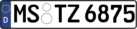 MS-TZ6875