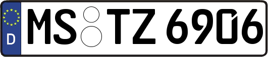 MS-TZ6906