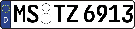 MS-TZ6913