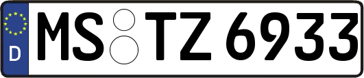 MS-TZ6933