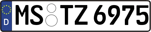 MS-TZ6975