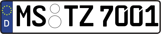 MS-TZ7001
