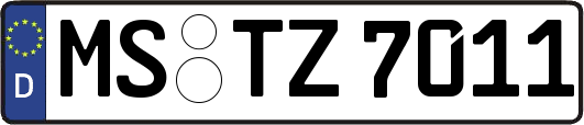 MS-TZ7011