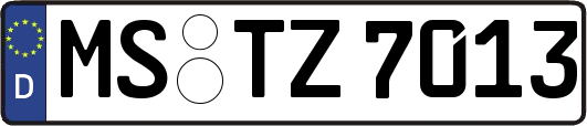 MS-TZ7013