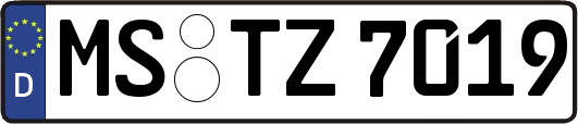 MS-TZ7019