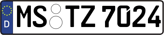 MS-TZ7024