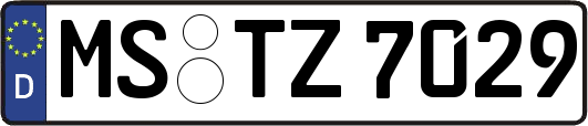 MS-TZ7029