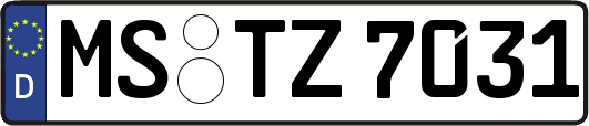 MS-TZ7031