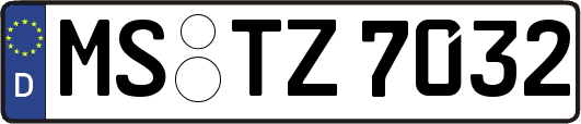 MS-TZ7032
