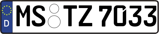 MS-TZ7033