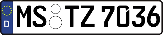 MS-TZ7036