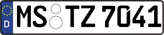 MS-TZ7041