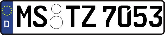 MS-TZ7053