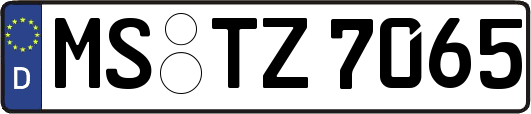 MS-TZ7065