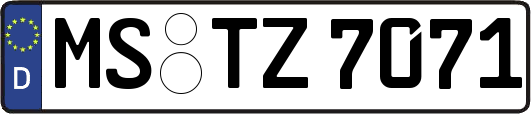 MS-TZ7071