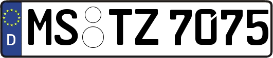 MS-TZ7075