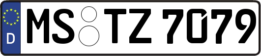 MS-TZ7079