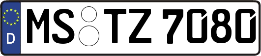 MS-TZ7080