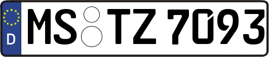 MS-TZ7093
