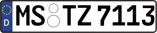 MS-TZ7113