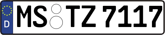 MS-TZ7117