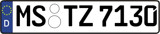 MS-TZ7130