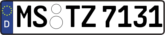 MS-TZ7131