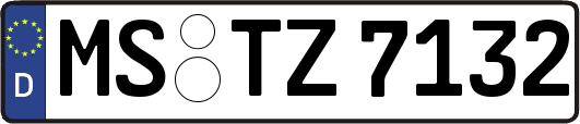 MS-TZ7132