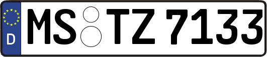 MS-TZ7133