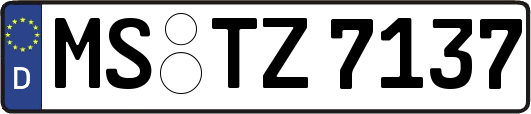 MS-TZ7137
